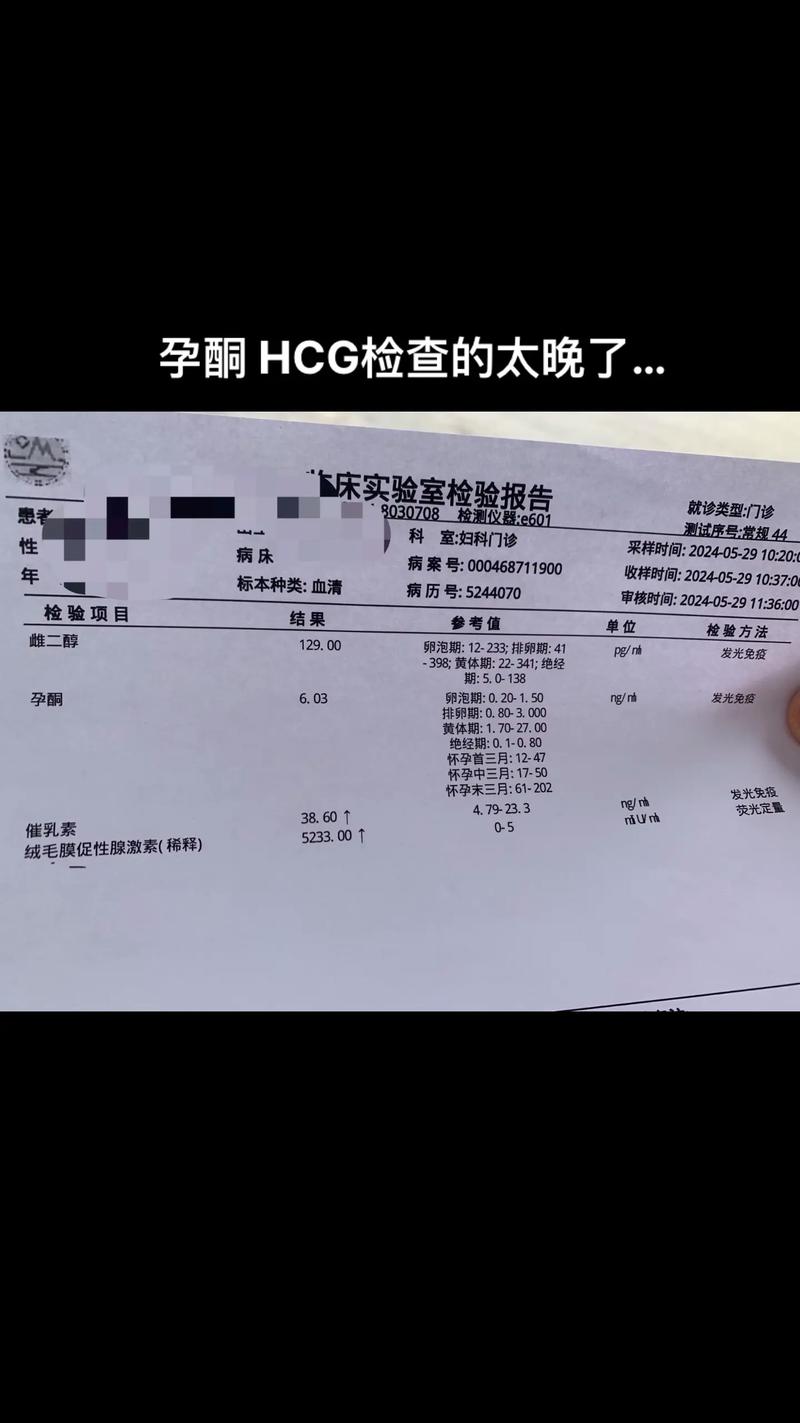  孕酮6