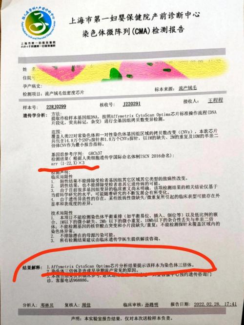 三倍体胚胎