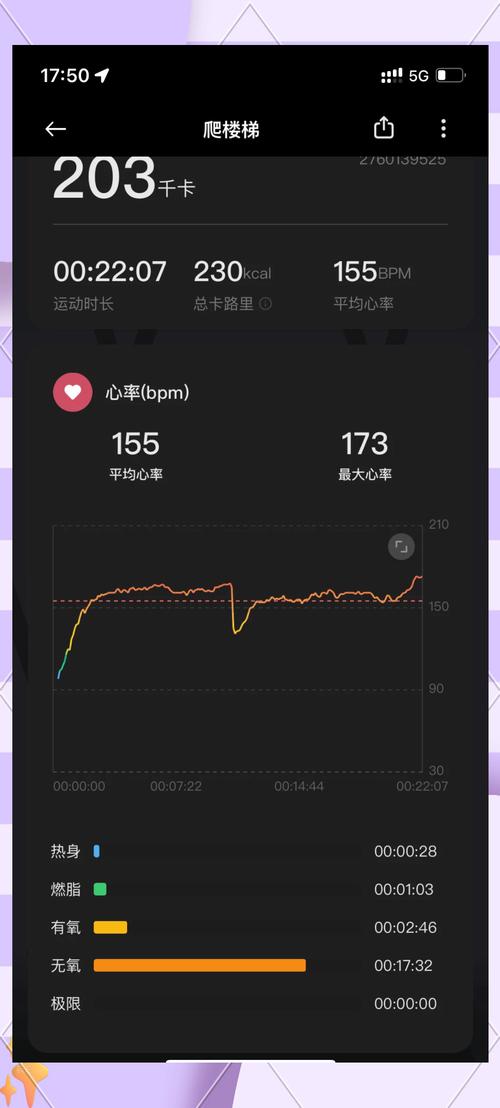  心率过高