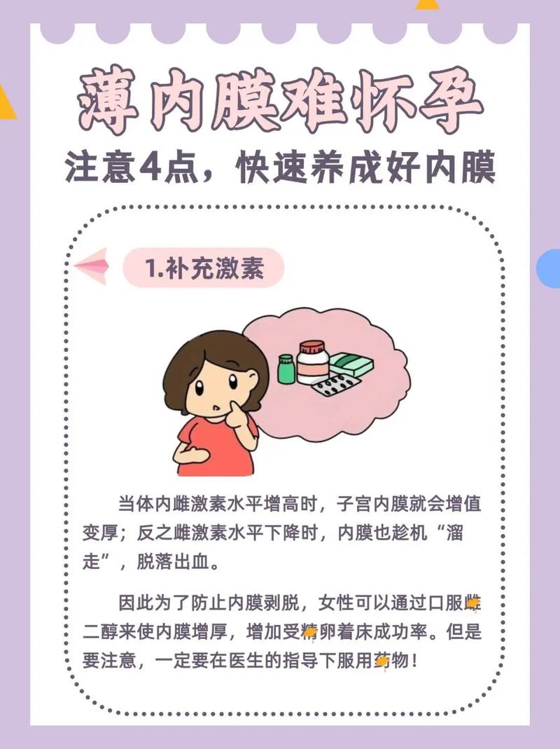 子宫内膜调节