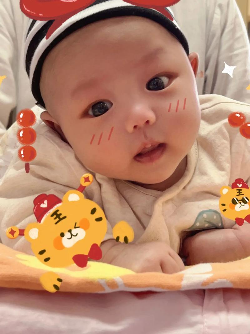五个月成长