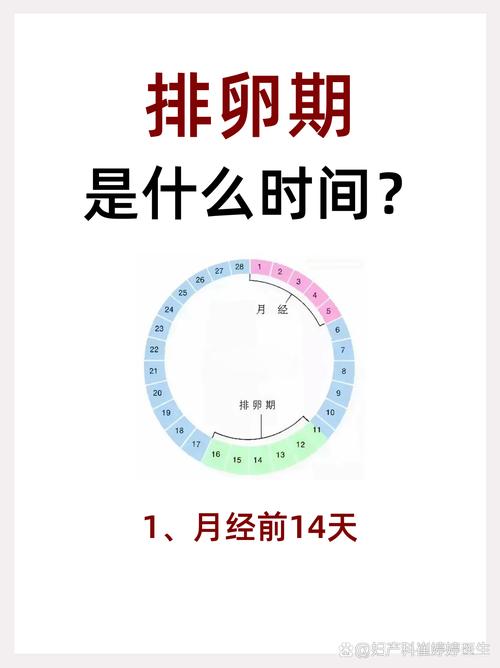 自然周期促排卵