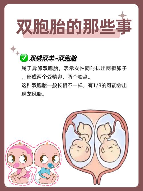 双卵双胞胎
