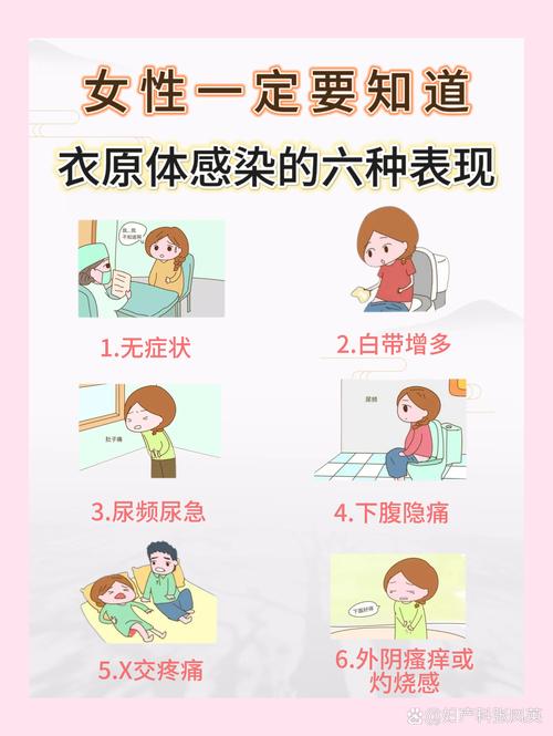  生殖衣原体