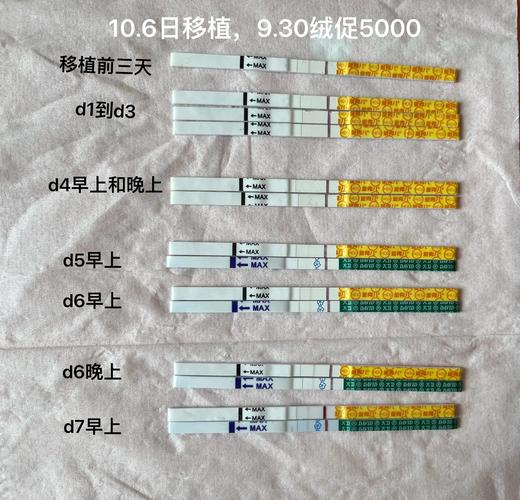 移植第七周