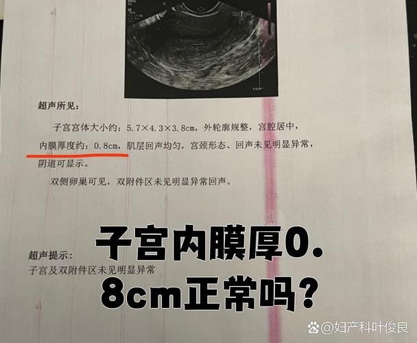内膜0.8