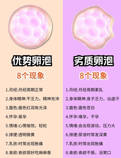 卵泡取出次数