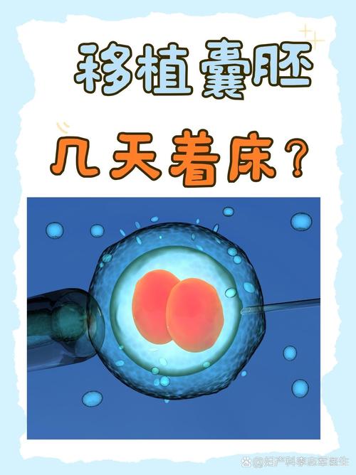 囊胚移鲜技术