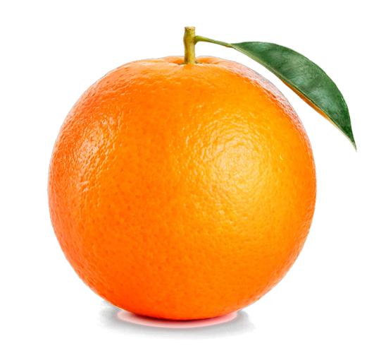  橙子