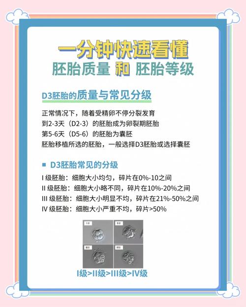 胚胎质量对照表
