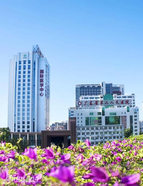 广东二院