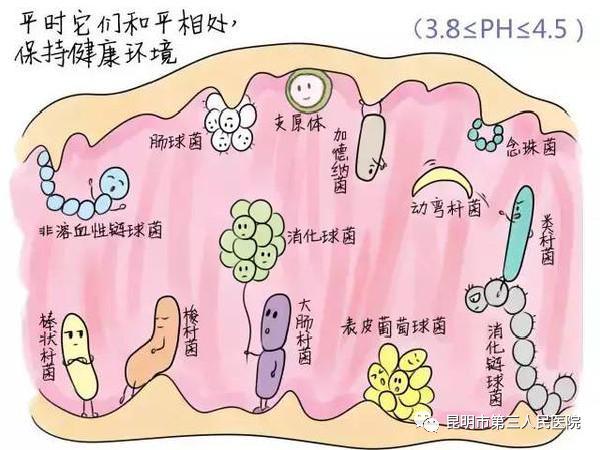 盆腔微环境