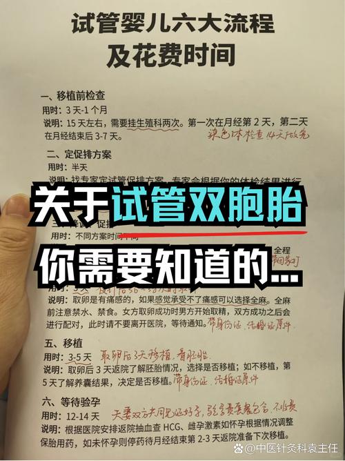  双胞胎成功率