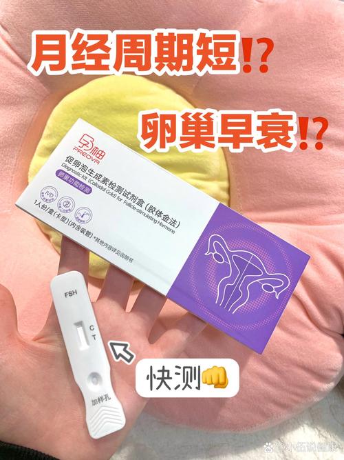  卵巢血体检测
