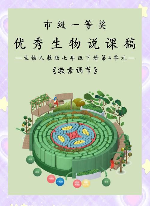激素调整