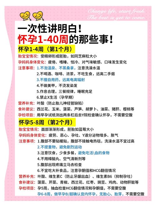 备孕注意事项