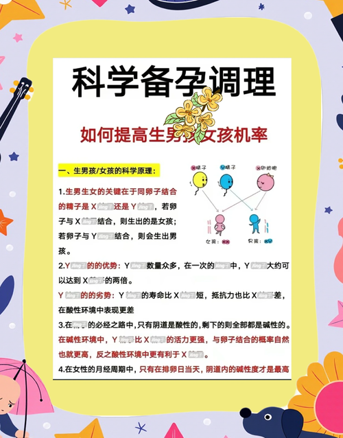  生儿子概率