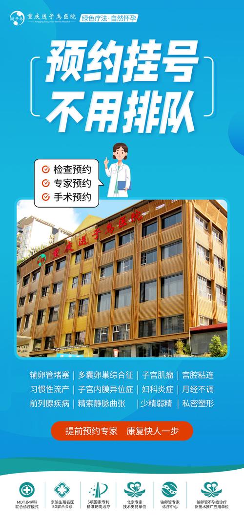 重庆送子鸟