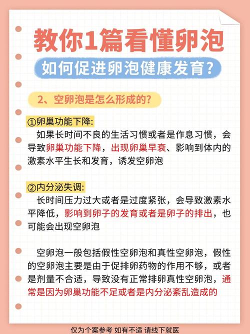 卵泡应用