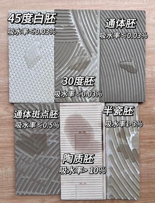  普胚