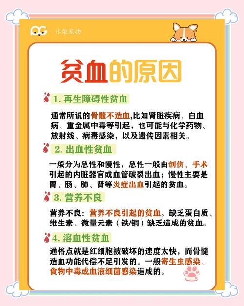 贫血成因