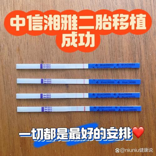 冻胚二胎移植