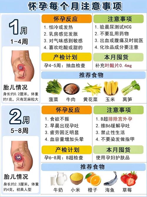 孕期观察