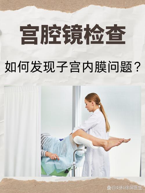  内膜检查
