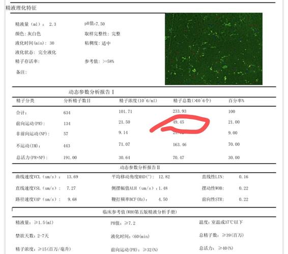 精子碎片