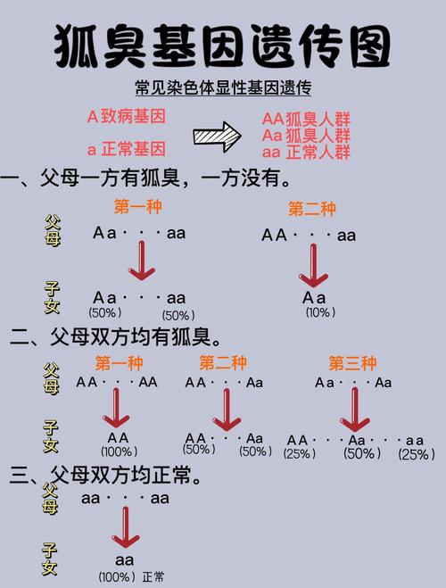  遗传物质完整性