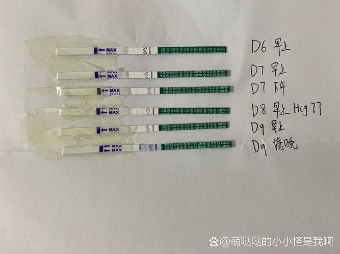 囊胚移植第9天