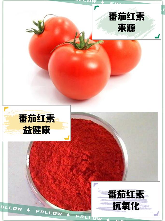 番茄红素