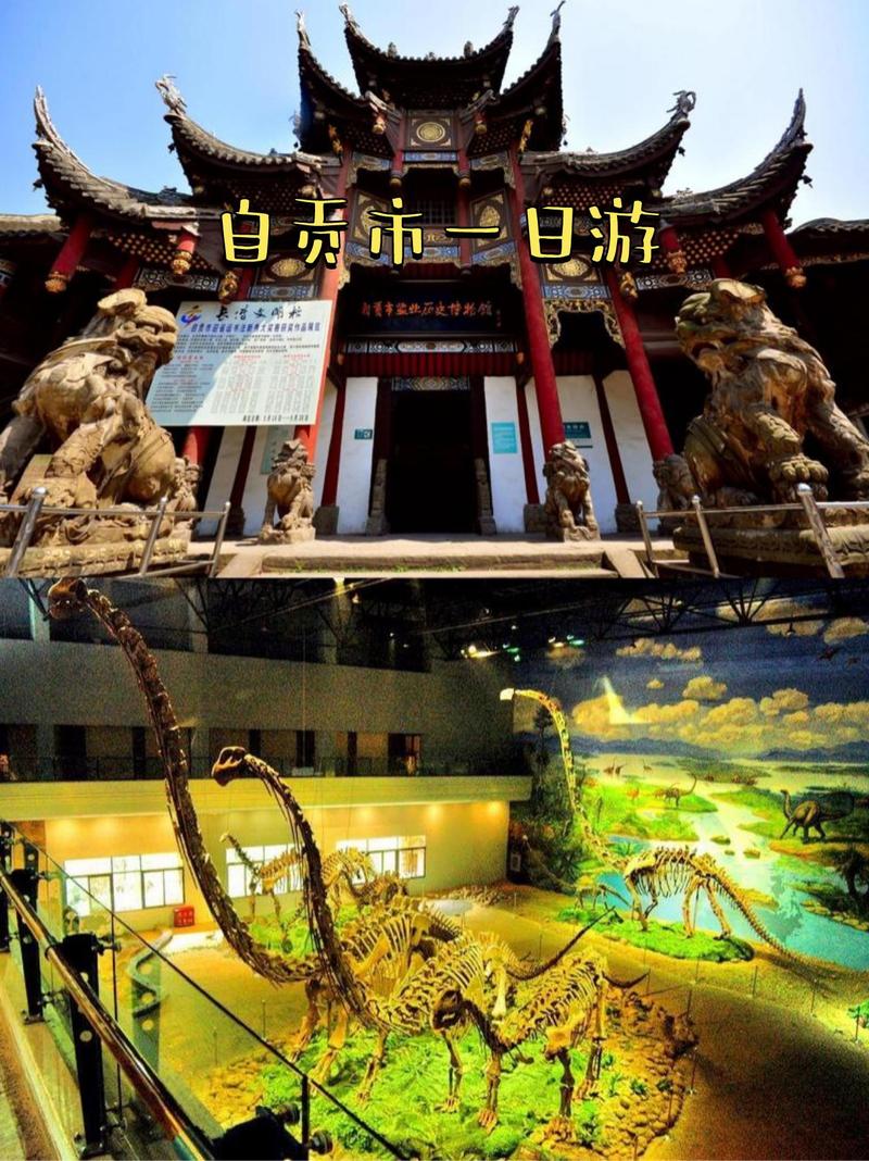  自贡市