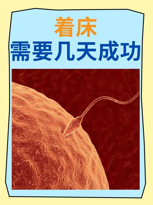 着床成功要素