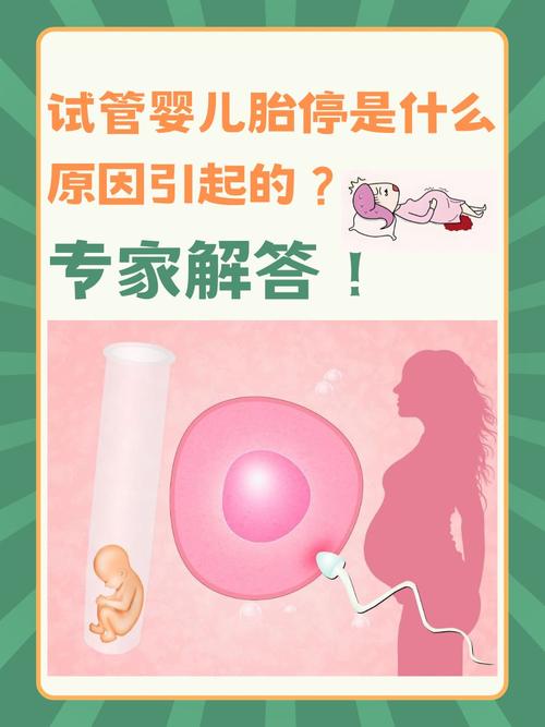 生殖医疗
描述: 本文详细介绍了试管婴儿中的胚胎胶，阐述其是由人体血液特殊处理制成，解析它在增加胚胎与内膜黏附、提供营养环境、减少胚胎游走等方面的作用，还提及使用注意事项，助力人们了解这一辅助技术。
