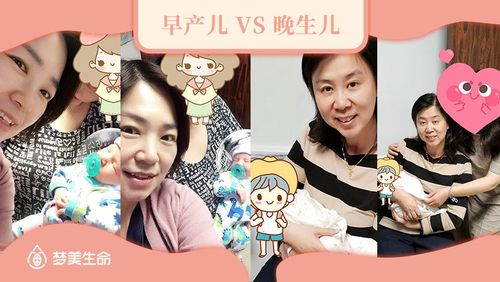 试管婴儿效果对比