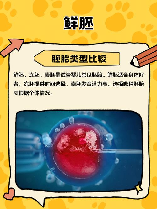 鲜胚技术