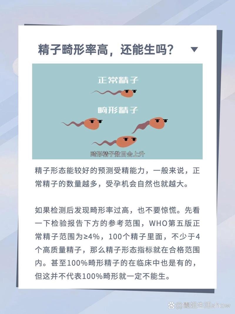  精子小头率