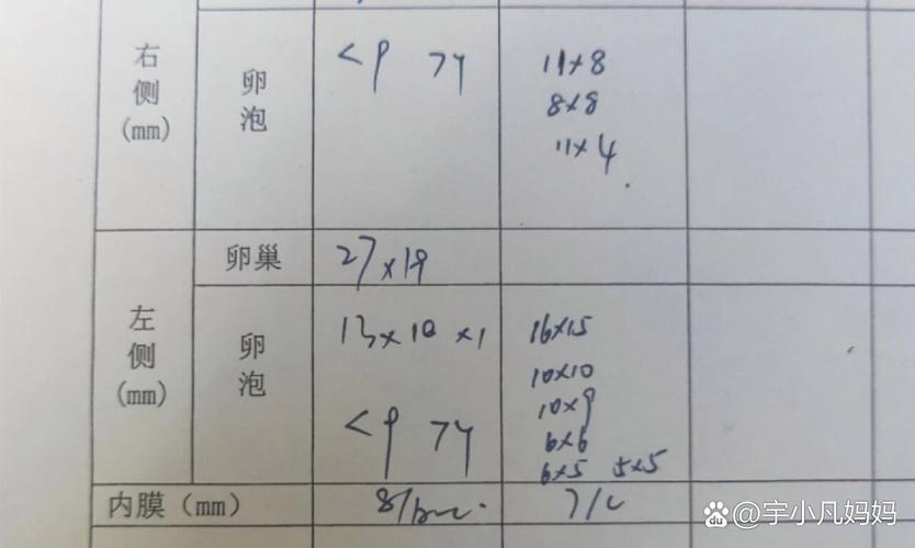 卵泡大小不均匀