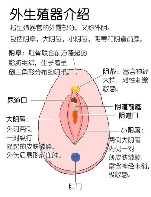 <女性生理>