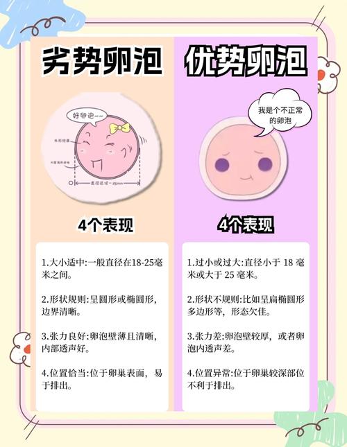 卵泡质量差