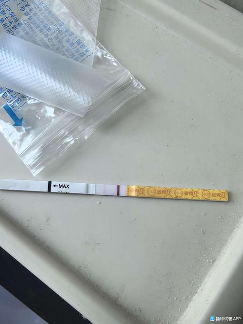 移植后第六天