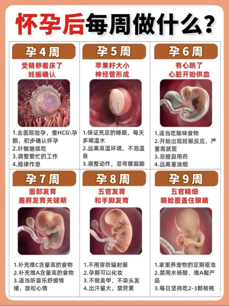  孕育攻略