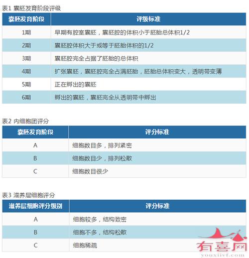  3BB等级