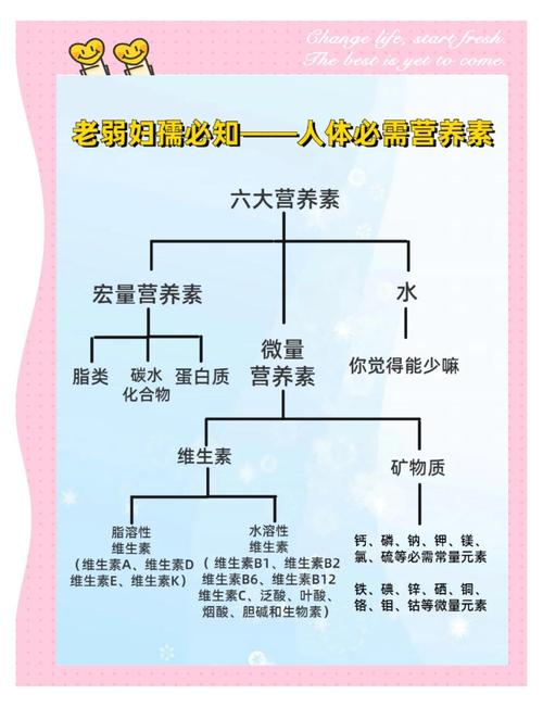 营养因素