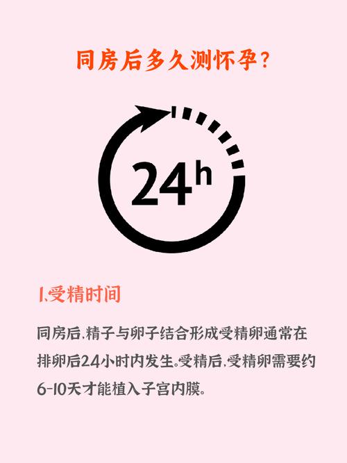 受精时间