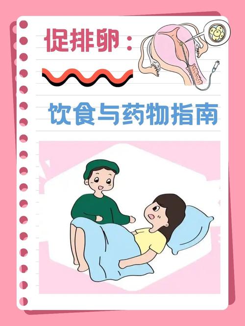 饮食促排卵