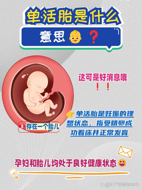  单胎活产