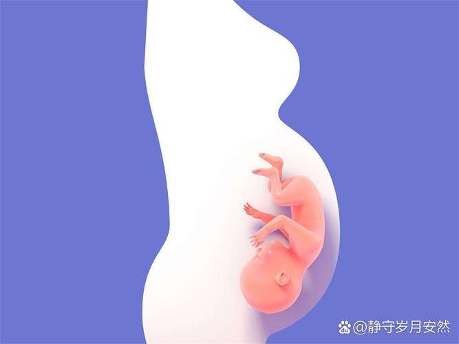  胚胎损失