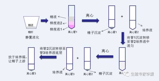  精子优化